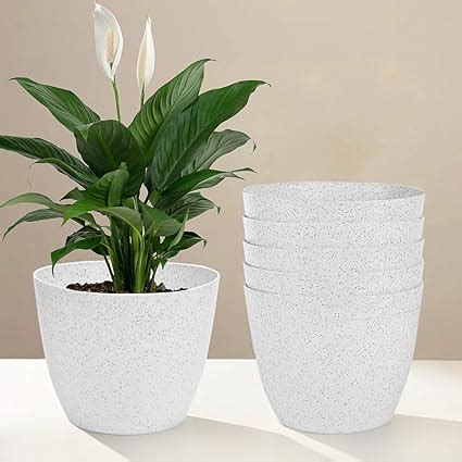 Kuber Industries Pack of 6 Flower Pot | Flower Pot for Living Room ...
