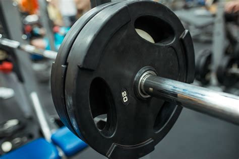 What Percent of the Population Can Bench 225? Less than You Think ...