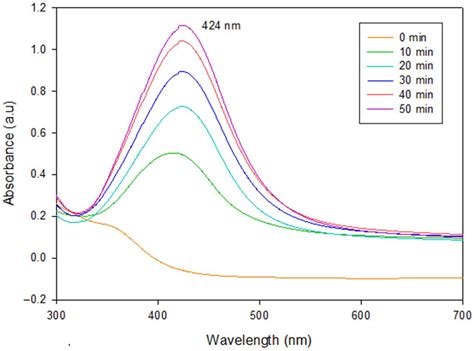 Green Synthesis of Silver Nanoparticles for Preparation of Gelatin ...