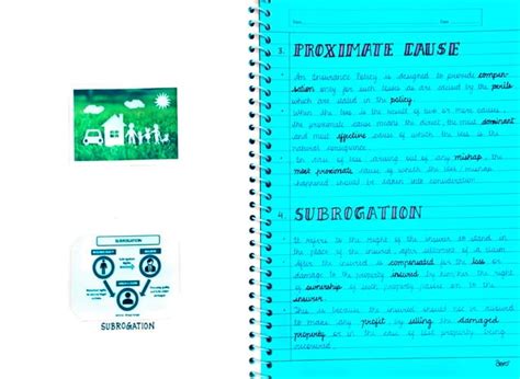 Insurance Project Class 11 的图像结果