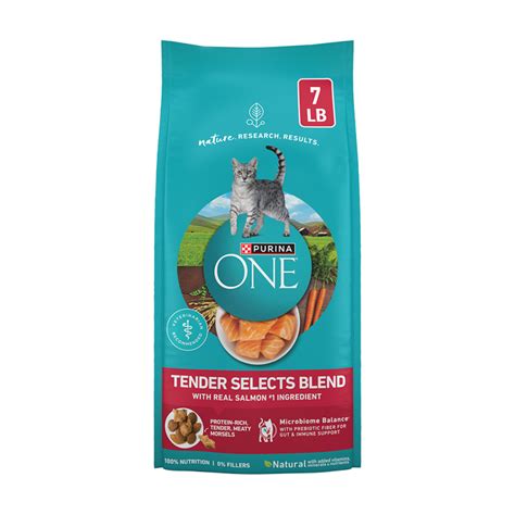 ¿Por qué tu gato vomita después de comer? | Purina