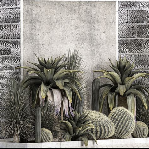 Collection Of Tropical Desert Plants 1126 3D model | CGTrader