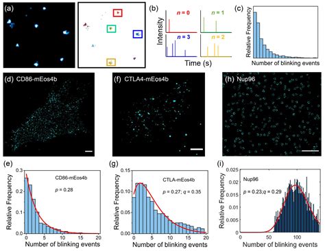FACAM: A Fast and Accurate Clustering Analysis Method for Protein ...