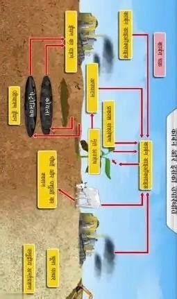 carbon cycle diagram in Hindi - Brainly.in