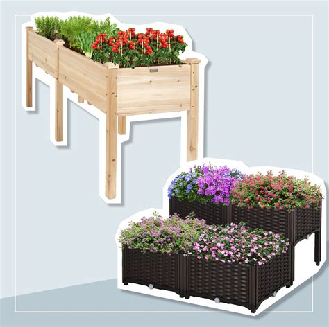Best Elevated Garden Beds