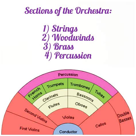 String Section Orchestra 的图像结果