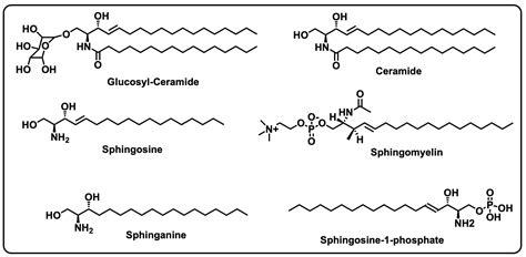A Review Discussing Synthesis and Translational Studies of Medicinal ...