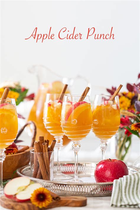 Sparkling Apple Cider Punch