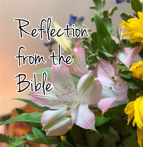 Image result for Scripture Reflections