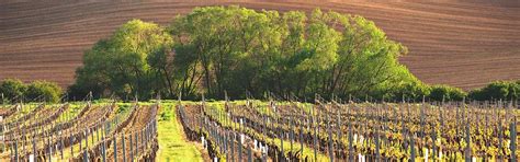 Hôtel restaurant Epernay | Campanile