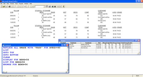 Visual Fox Database 的图像结果