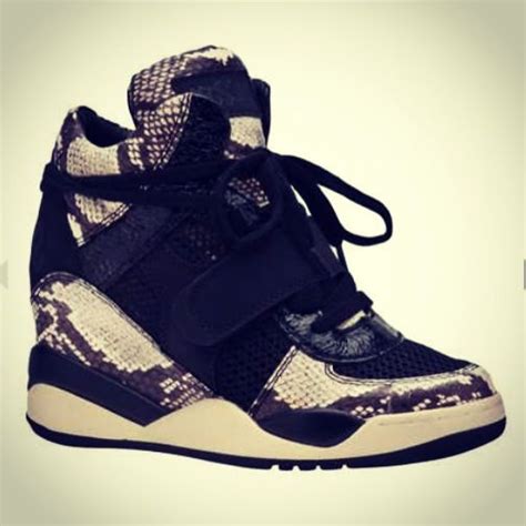 Image result for Wedge Python Matplot