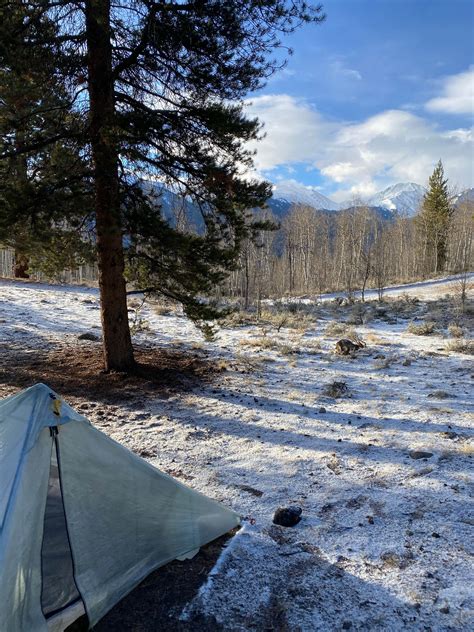 Twin Lakes Dispersed Camping - Site 1 West | Twin Lakes, CO