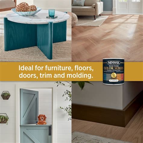 Minwax Wood Finish Color Series Oil-based True Black Semi-transparent ...