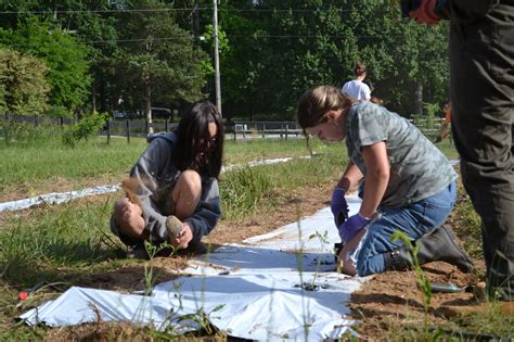 Planes of Development - Omni Montessori School