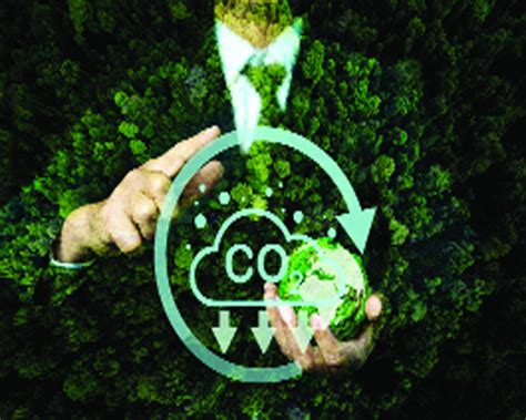 India's Biofuel Boom Faces a Carbon Accounting Crossroads