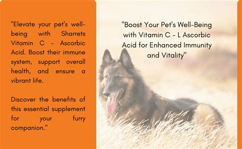 Sharrets Vitamin C (L Ascorbic Acid) Immunity Supplement for Dogs/Pets ...