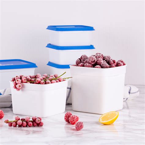 Image result for Freezer Storage Containers