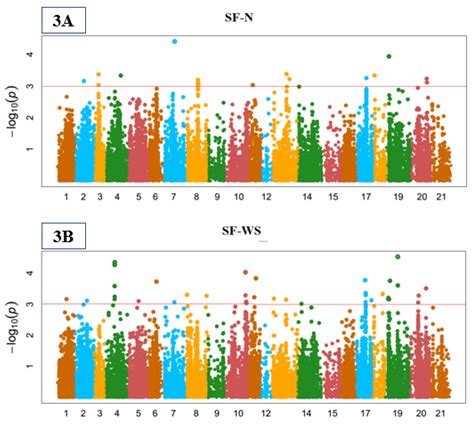 Genome-Wide Association Mapping for Stomata and Yield Indices in Bread ...