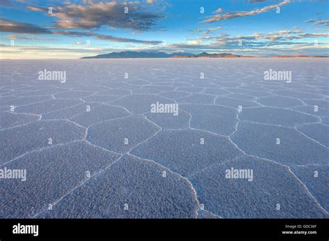 Image result for Input Examples Science