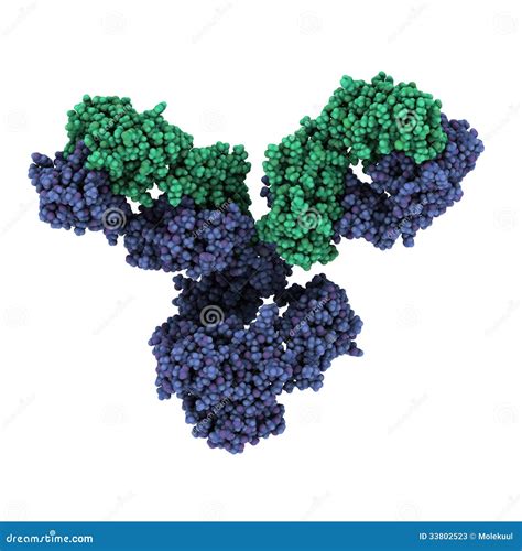 Monoclonal Antibody (Immunoglobulin G, IgG2a, MAb) Molecule, Chemical ...