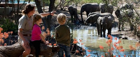 Common Mistakes to Avoid in a Kanha Wildlife Trip with Kids