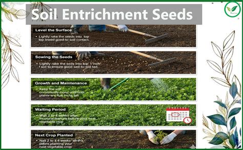 Soil Enrichment Seed : Amazon.in: Garden & Outdoors
