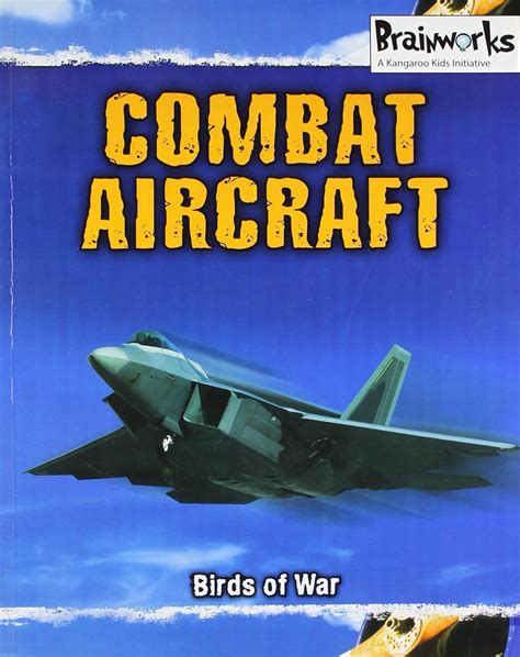 Brainworks Combat Aircraft : Works, Brain: Amazon.in: Books