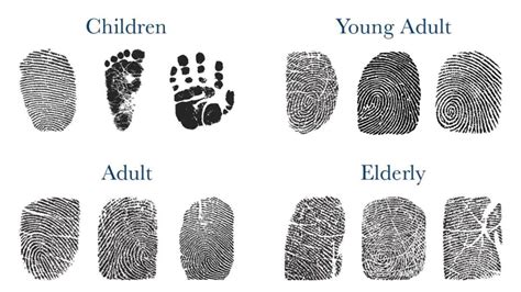 Fingerprints GK: আঙুলের ছাপ কীভাবে তৈরি হয়? কেন সকলের 'ফিঙ্গারপ্রিন্ট ...