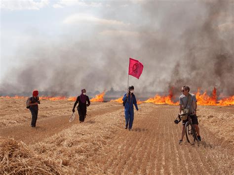 Image result for Probot Silent Spring