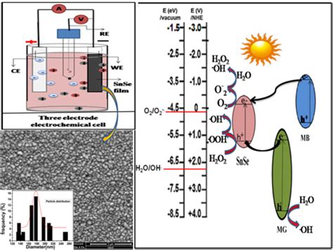 Dipali Banerjee | IIEST