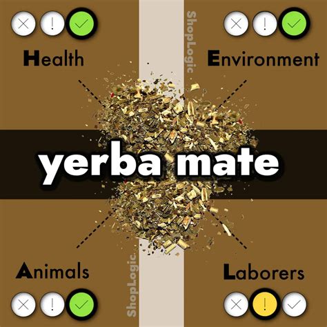 Yerba Mate Benefits + Side Effects