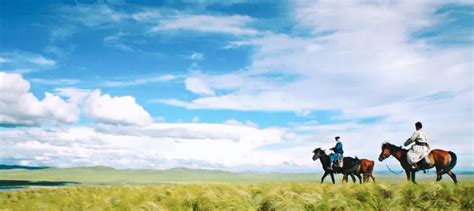 60部蒙古电影 部部都值得看-草原元素---蒙古元素 Mongolia Elements