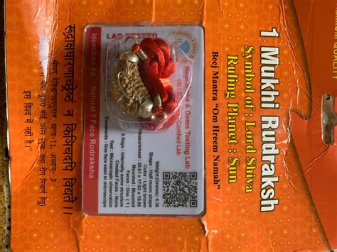 100% Natural1 Mukhi/One Faced/Ek Mukhi Rudraksha (Brown Half Moon ...
