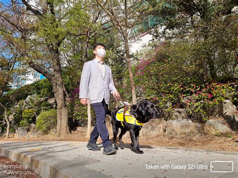 [Capture the World With Galaxy S21] Celebrating Our Essential Furry ...