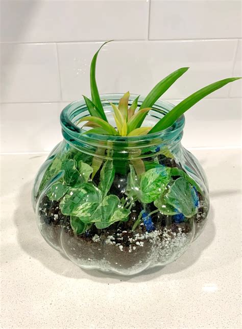 Image result for Terrarium Making111