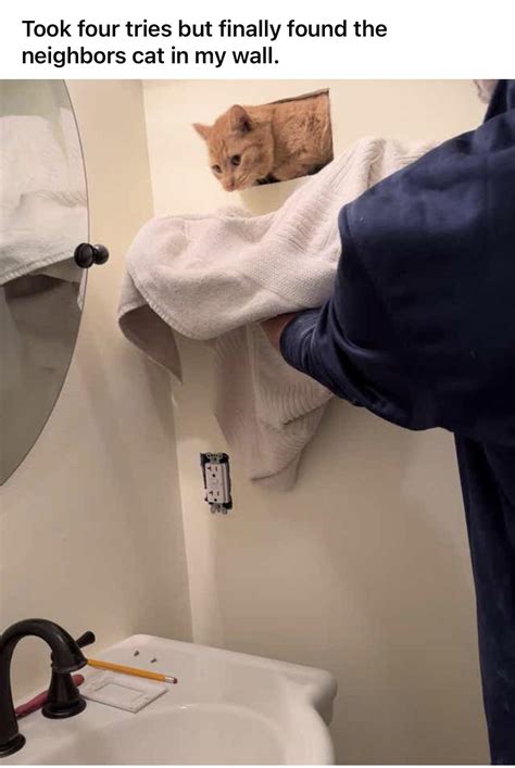 Image result for Now Talking My Language