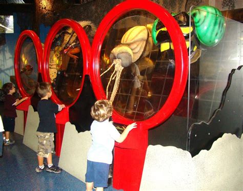 Image result for Giant Insect Lab Gallery