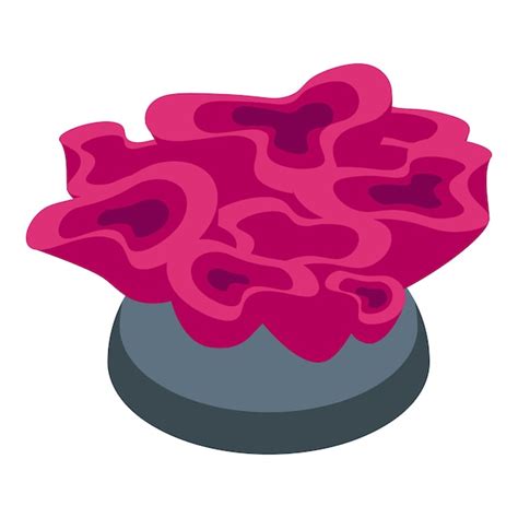 Page 3 | Coral species identification Vectors - Download Free High ...