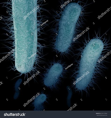 CRE Prevention Fun Learning 的图像结果