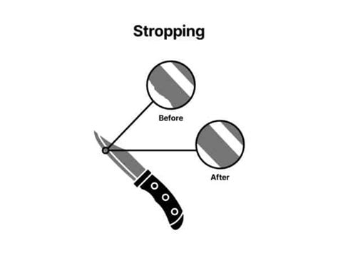 Image result for Stropping Tutorial