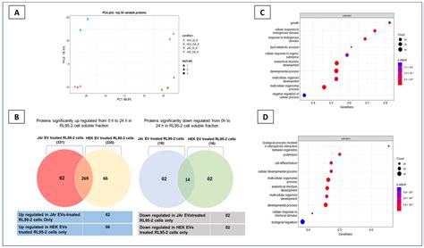 Secretory Proteomic Responses of Endometrial Epithelial Cells to ...