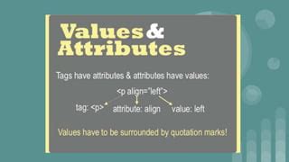 CSS with HTML for Class X for Beginners 的图像结果