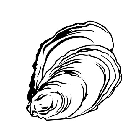 Draw Pearl Shell 的图像结果