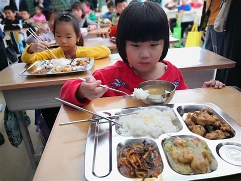 好消息！郑州中小学午餐供餐服务明年春季或将全覆盖 - 河南一百度