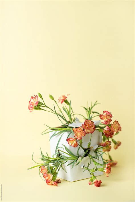 Exploding Spring 的图像结果