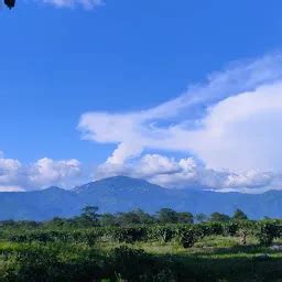 Places in Ord Terai Tea Garden, West Bengal | Yappe.in
