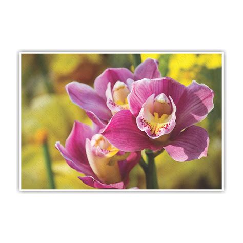 Anne Print Solutions® Flower Plant Poster (Without Frame) For Wall ...