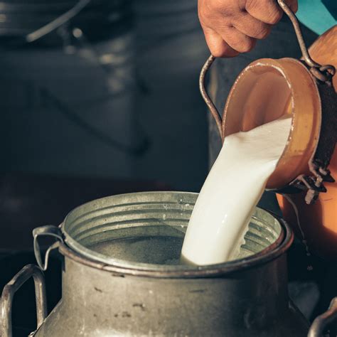 Animal Source Foods 的图像结果